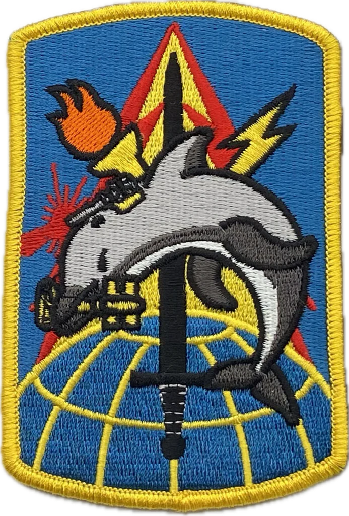 116th MI BDE Dolphins