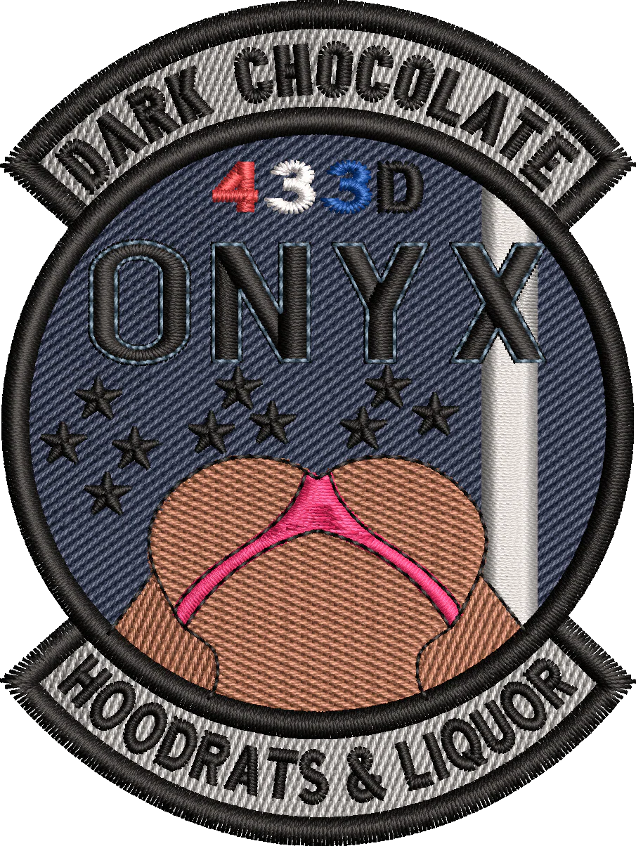 433d Airlift Wing - Houston Hoodrats - Image 2