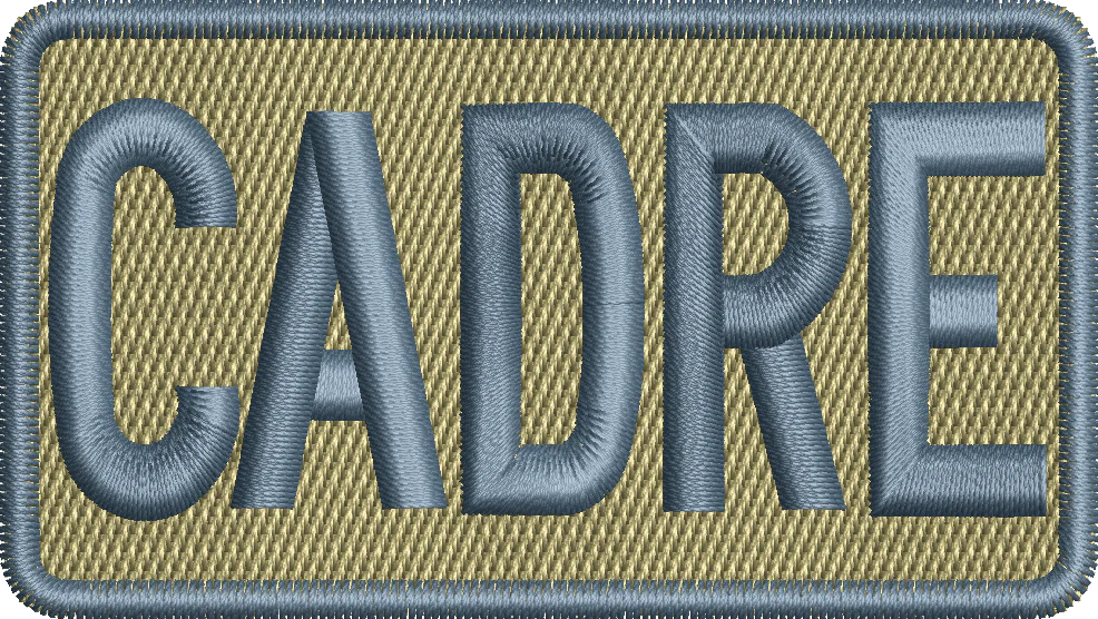 CADRE-Duty Identifier Patch - Space Force Blue