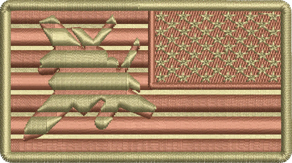 Spice Brown Reversed American Flag with F-15