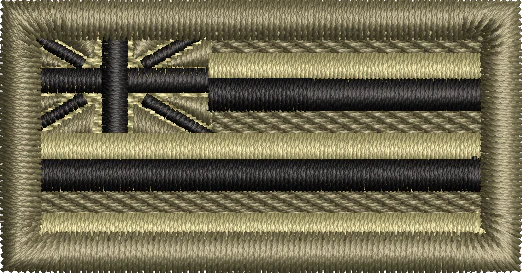 Hawaii State Flag - Pen Tab Subdued