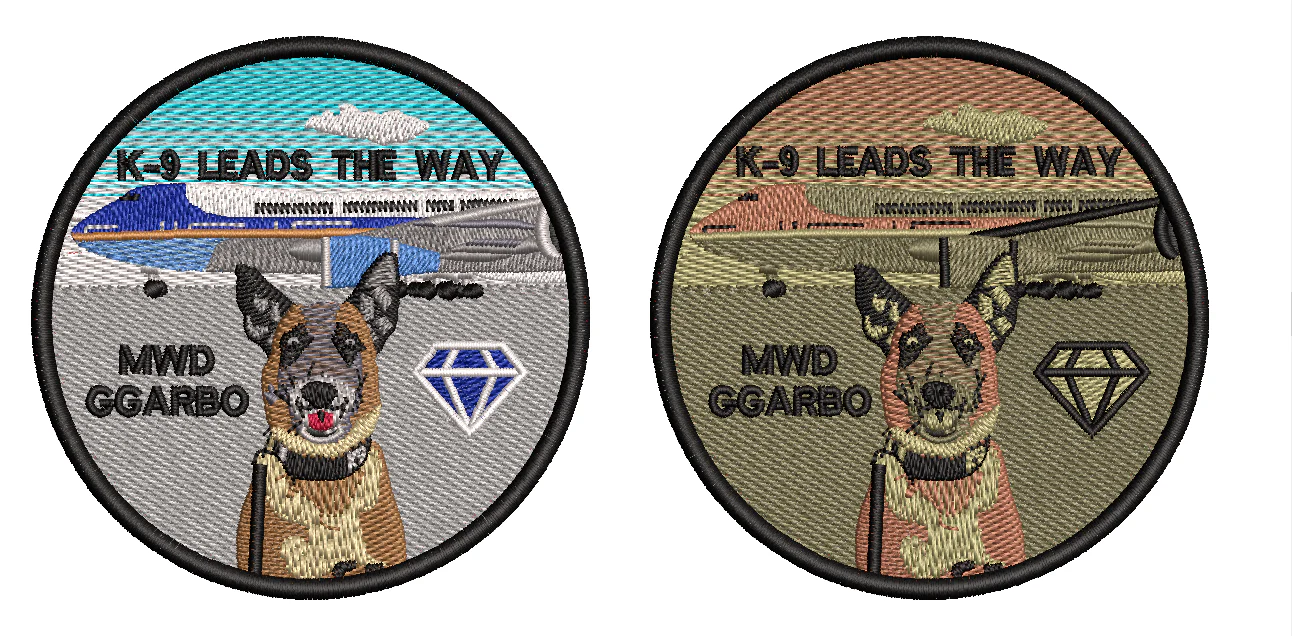 K-9 Leads the way