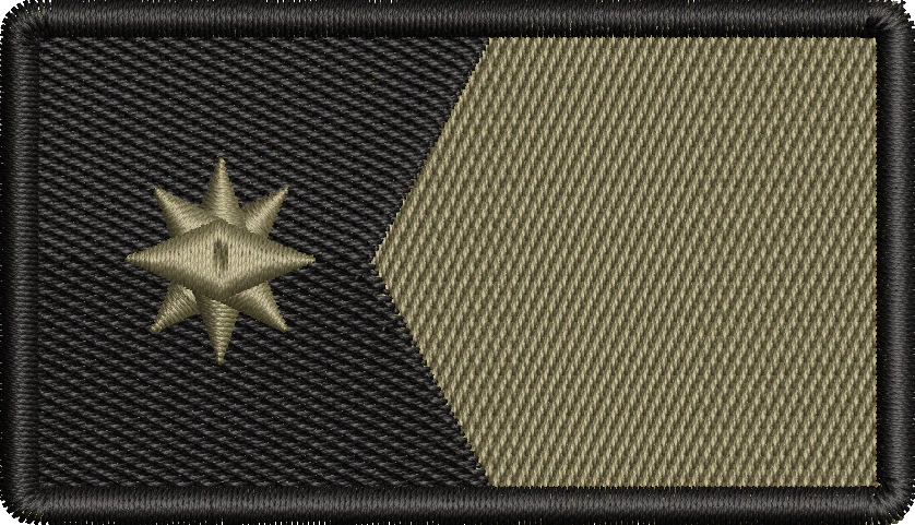 Minnesota Flag - SUBDUED
