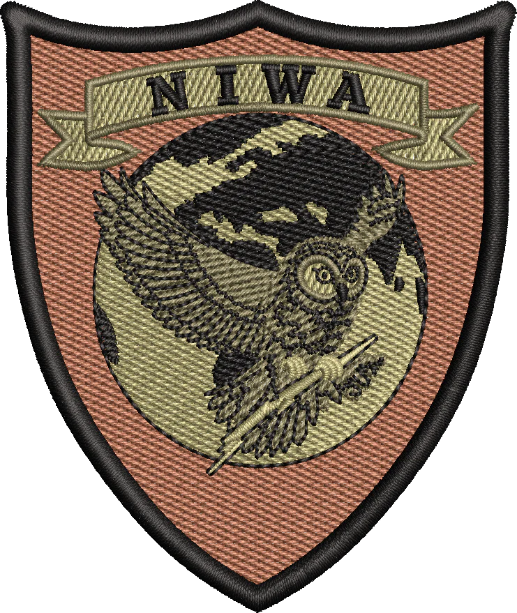 Naval Information Warfare Activity (NIWA)