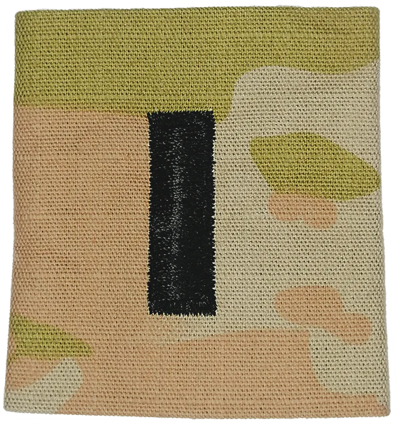 O2 1 LT -- U.S. AIR FORCE OCP RANK -- GOR-TEX JACKET