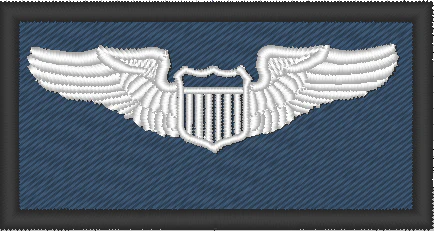 Pilot Wings (42 ATKS) Name Tag