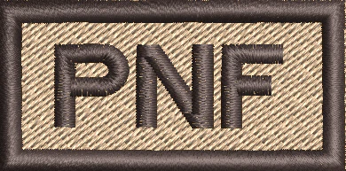Pilot Not Flying - Pen Tab - Image 2