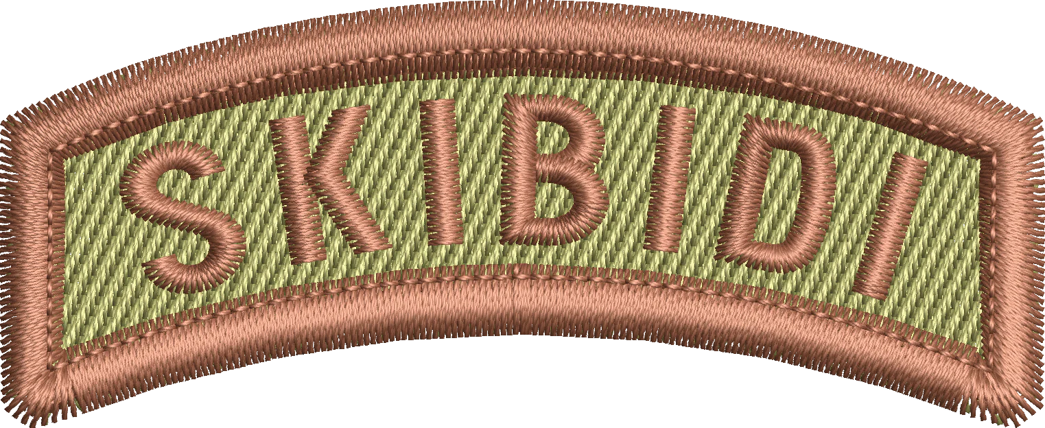 Skibidi - Rocker Tab